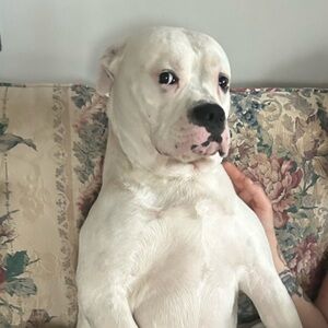 Meet your Posher, Emma